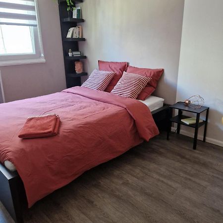 Robertsau Tres Bel Appartement ستراسبورغ المظهر الخارجي الصورة