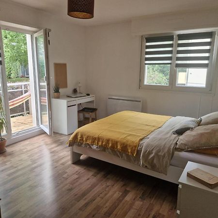 Robertsau Tres Bel Appartement ستراسبورغ المظهر الخارجي الصورة