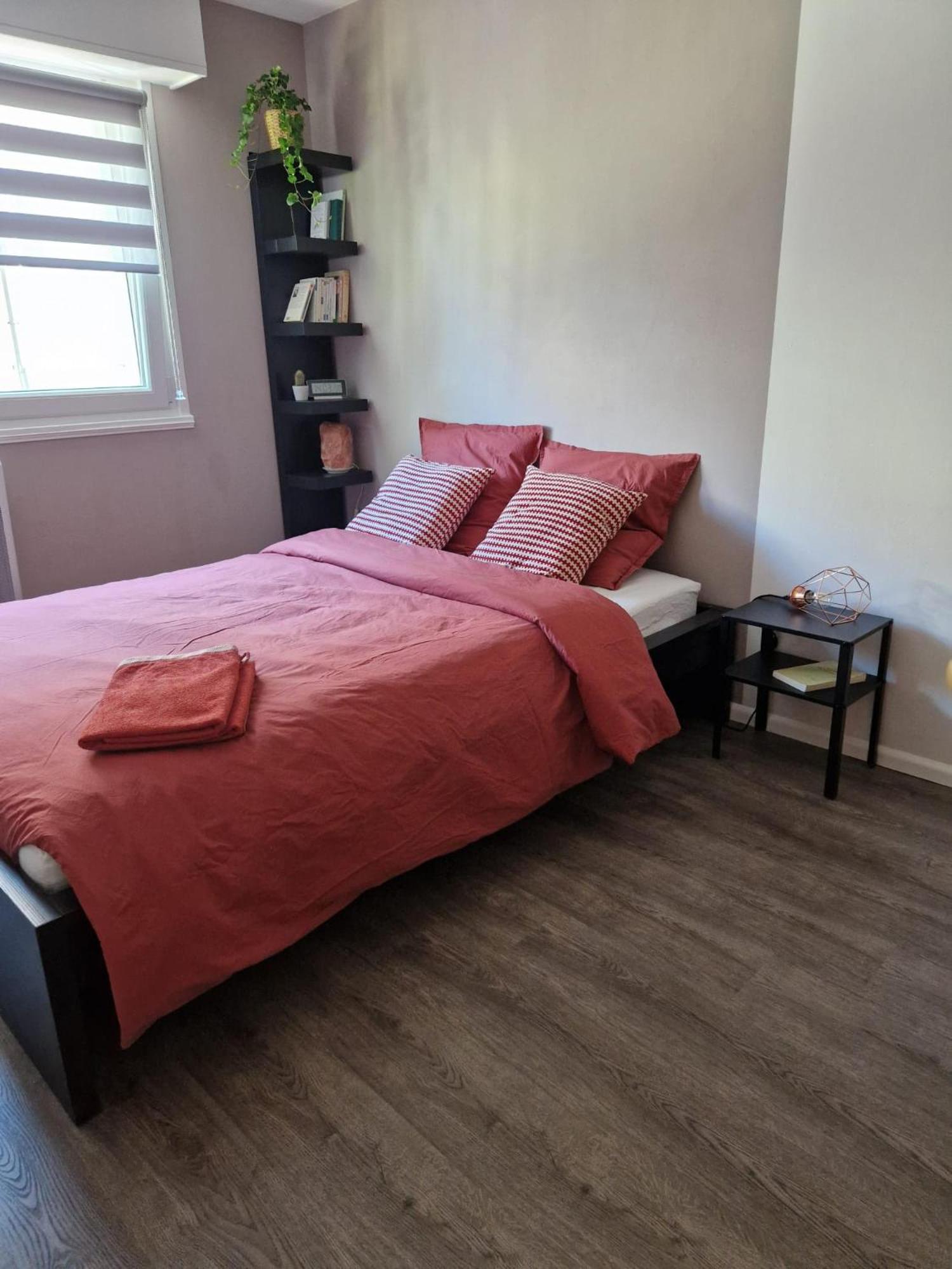 Robertsau Tres Bel Appartement ستراسبورغ المظهر الخارجي الصورة