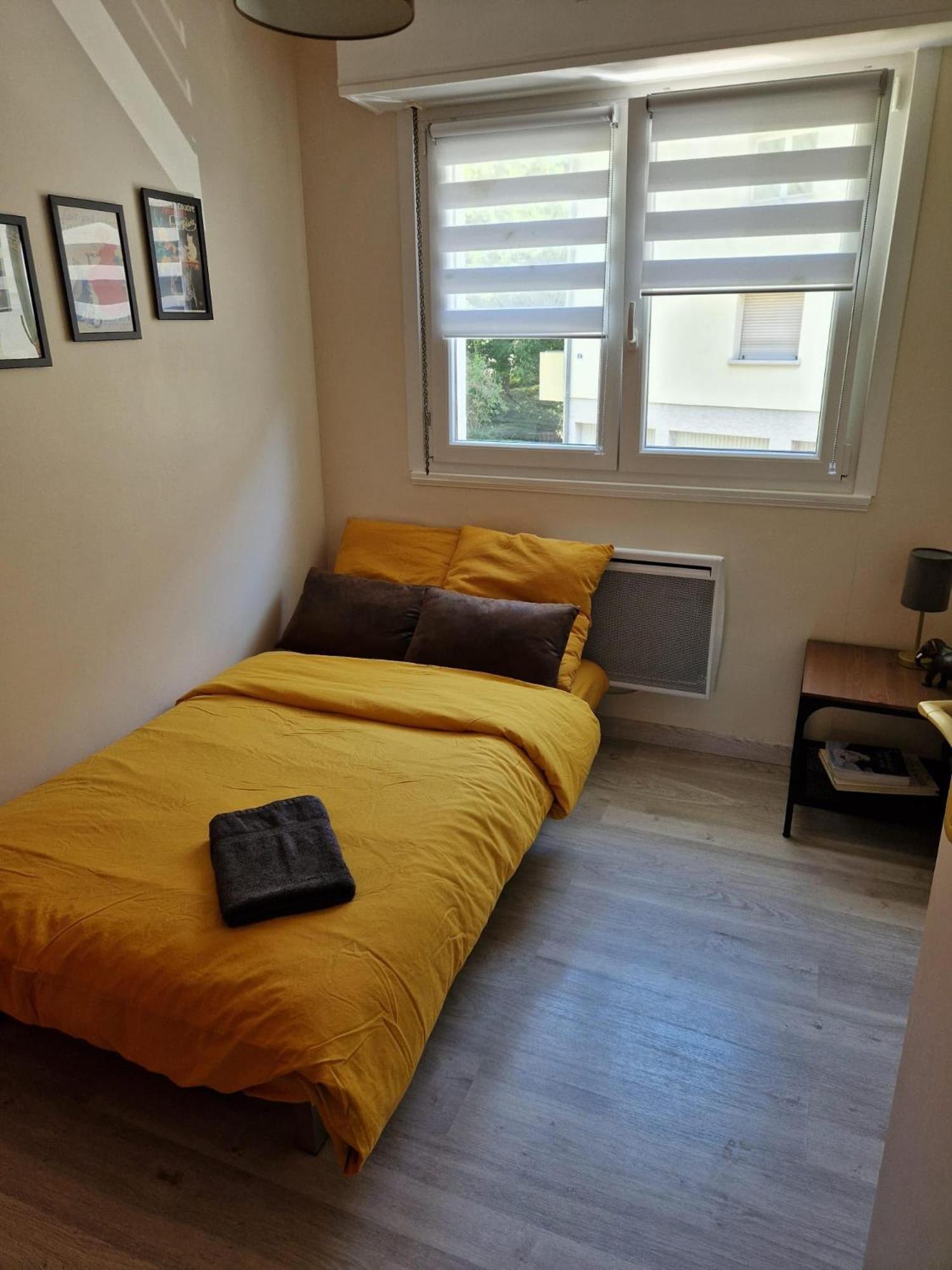 Robertsau Tres Bel Appartement ستراسبورغ المظهر الخارجي الصورة